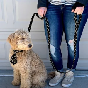 A Dog with Matching Leash or Collar Set